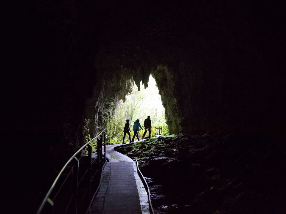 Spellbound Glowworm and Cave Explorer